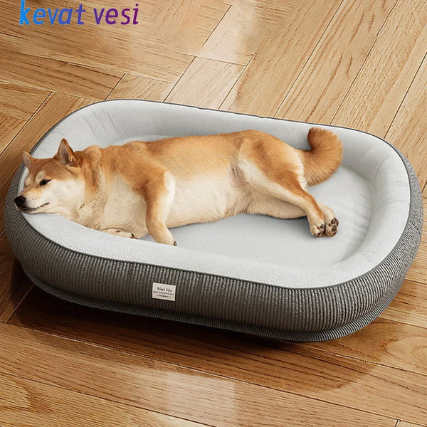 a dog on memory foam dog bed