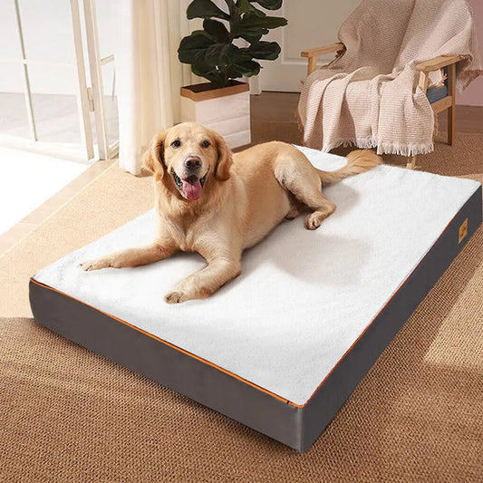 A dog on a memory foam dog bed