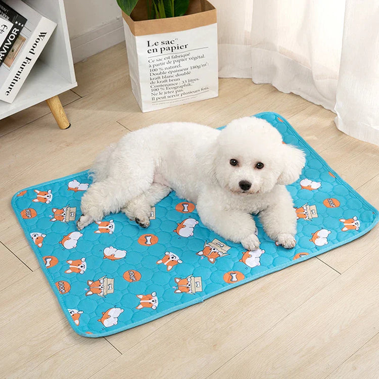 A dog lying on a mat