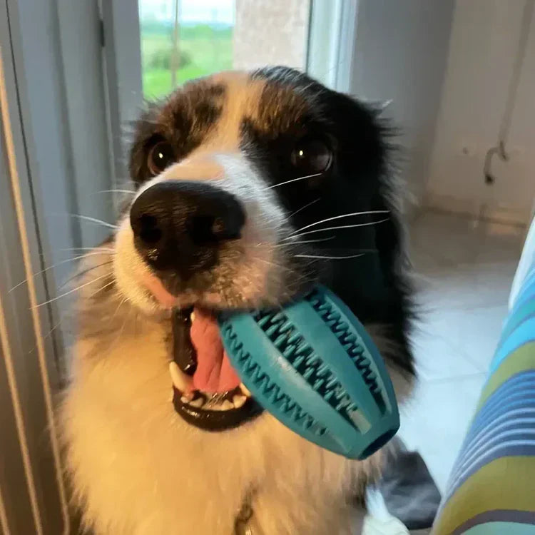 A Dog Chewing a Toy Ball