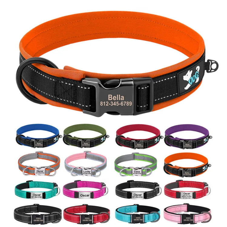 Dog collars in different sizes and colors