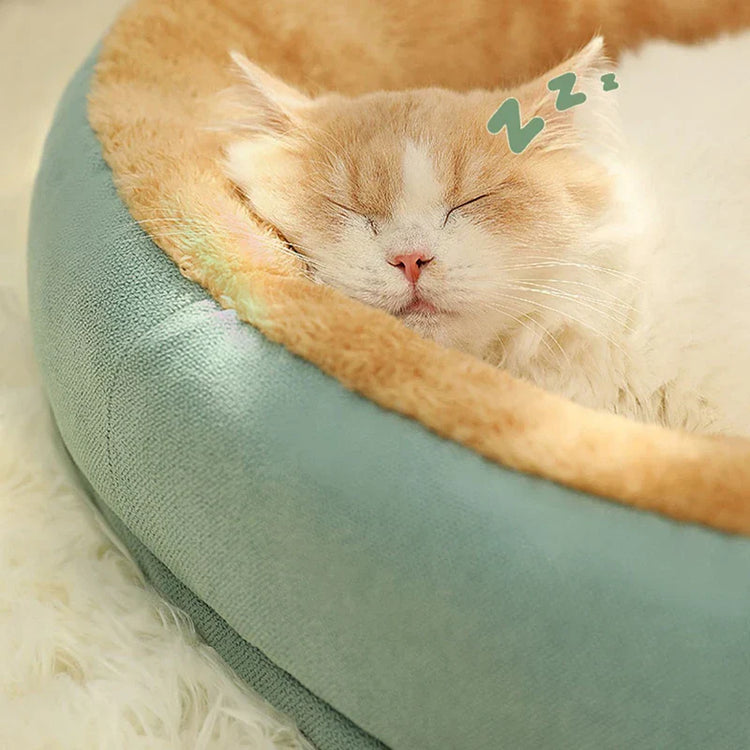 A sleeping cat on it's bed