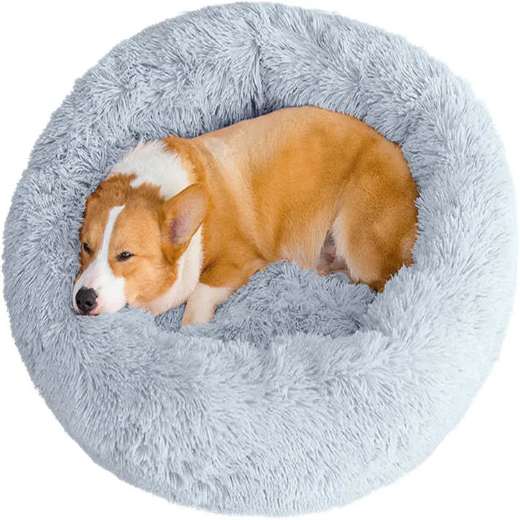 A dog sleeping on a dog bed