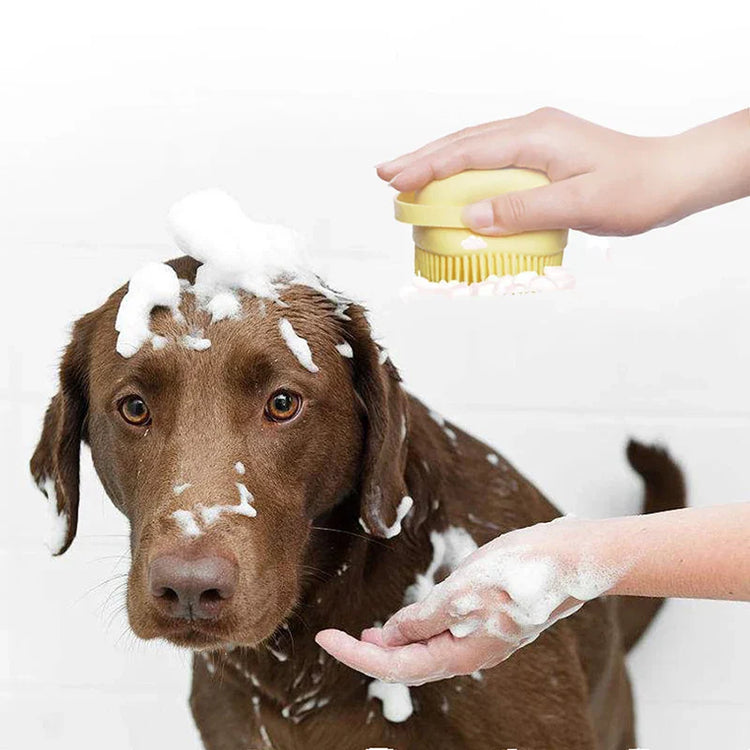 A dog having bath with shampoo dispenser