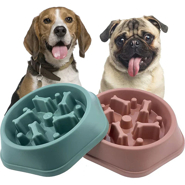 Smiling dogs with slow feeder bowl