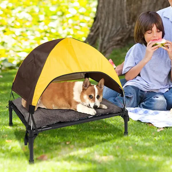 Camping dog bed