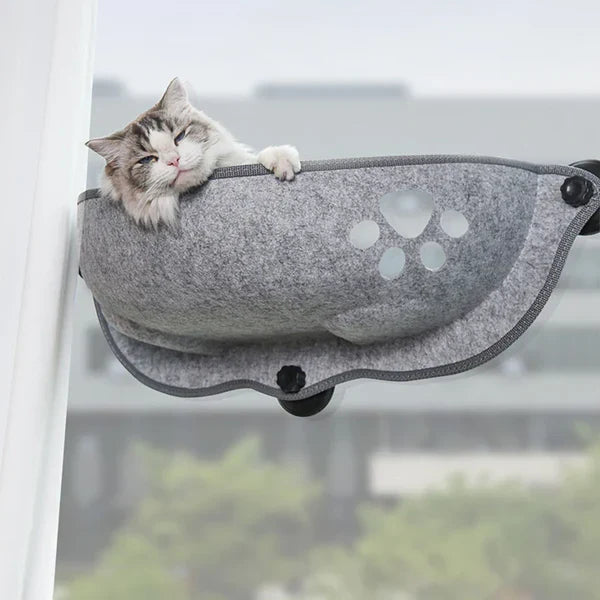 Cat window hammock