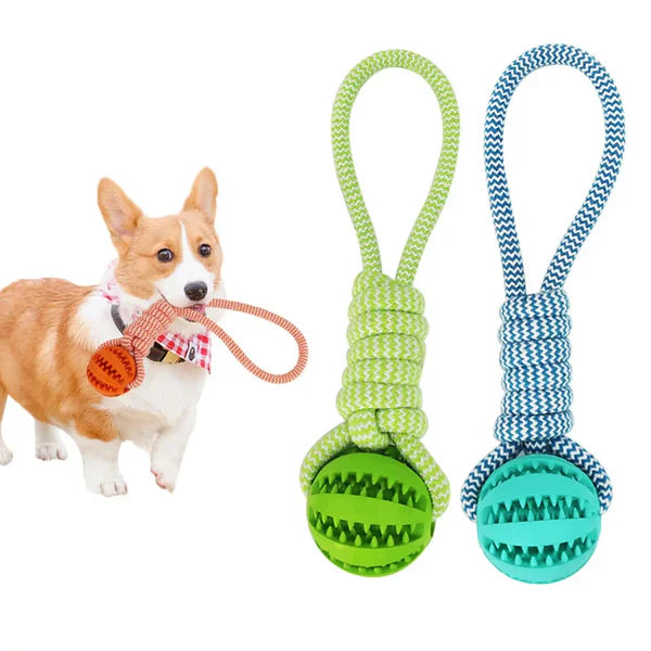 Teething dog toys