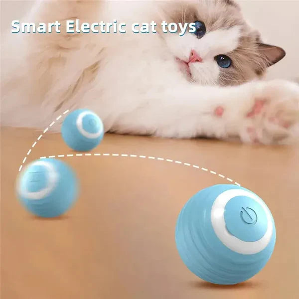 Interactive cat toys