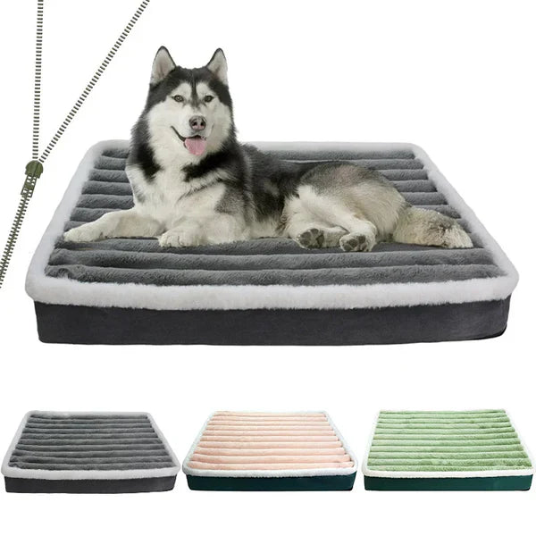 Large dog bed