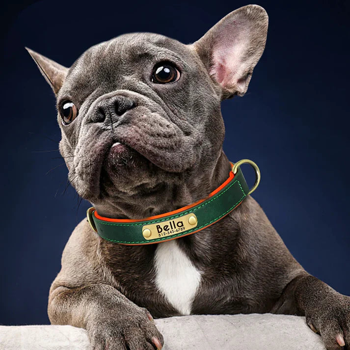 Personalized dog collars