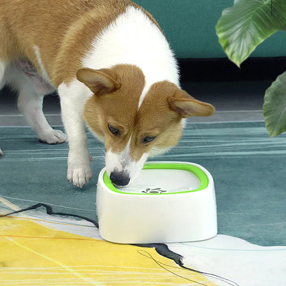 Automatic Dog Water Bowl