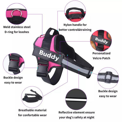 NO PULL Personalized Dog Harness