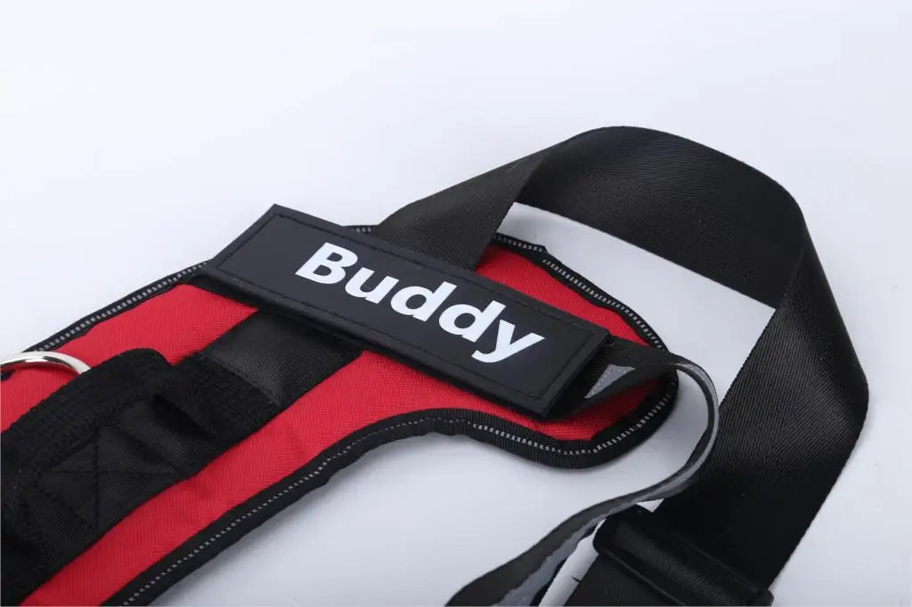 NO PULL Personalized Dog Harness