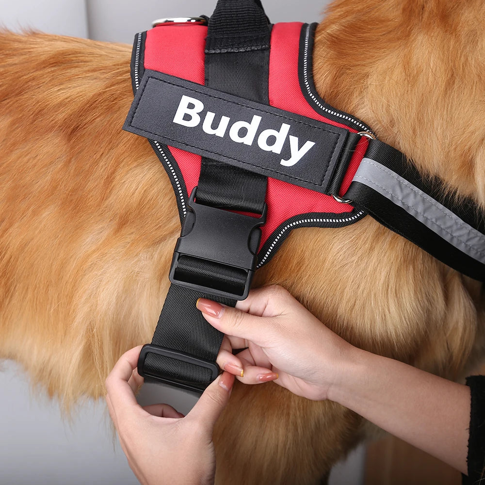 NO PULL Personalized Dog Harness