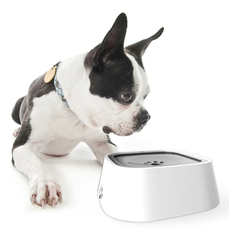 Automatic Dog Water Bowl