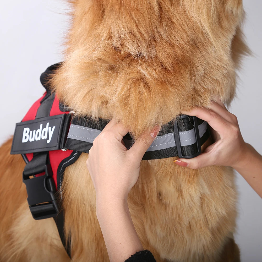 NO PULL Personalized Dog Harness