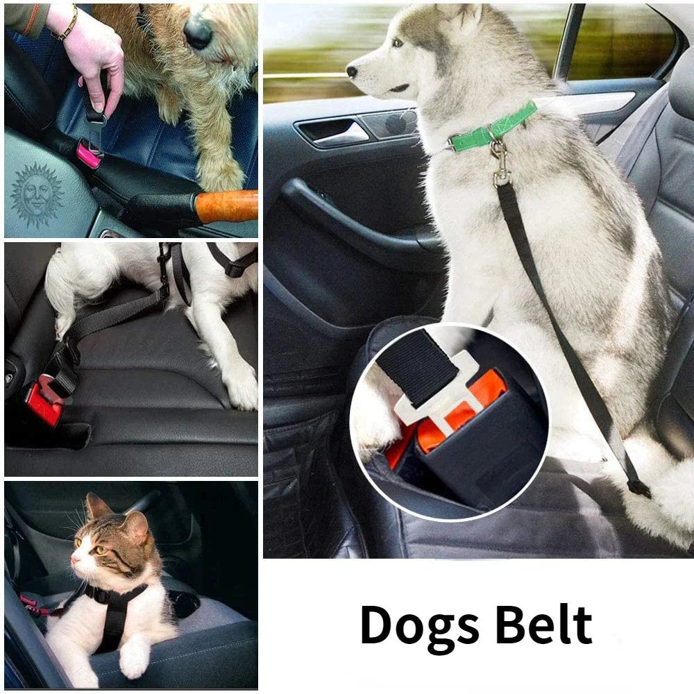 Dog Car Seat Belt with Lead Clip