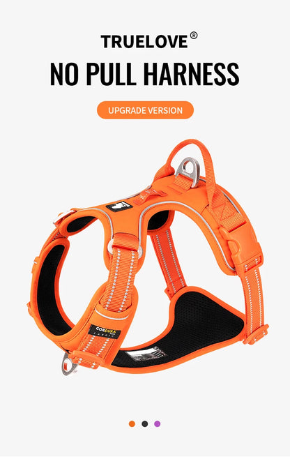 No Pull Dog Harness Australia