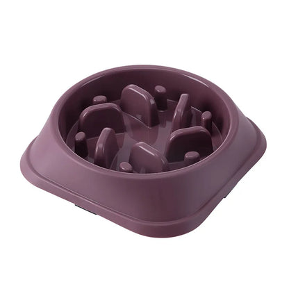 Non-Slip Slow Feeder Bowl for Dogs