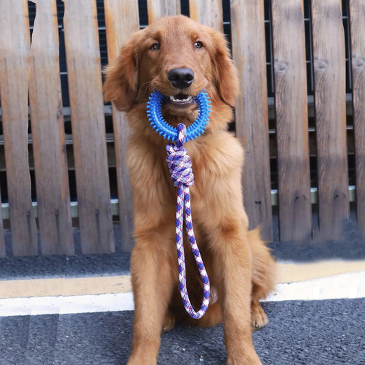 Dog Tug Toy - Teeth Cleaning Ring