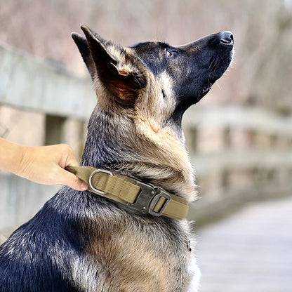 Dog Collars Australia Military-Grade