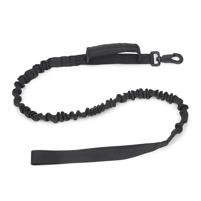 Dog Collars Australia Military-Grade