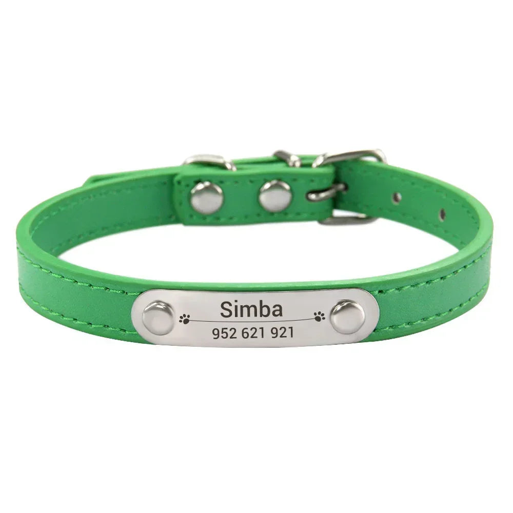 Cat and Dog Collar With Name