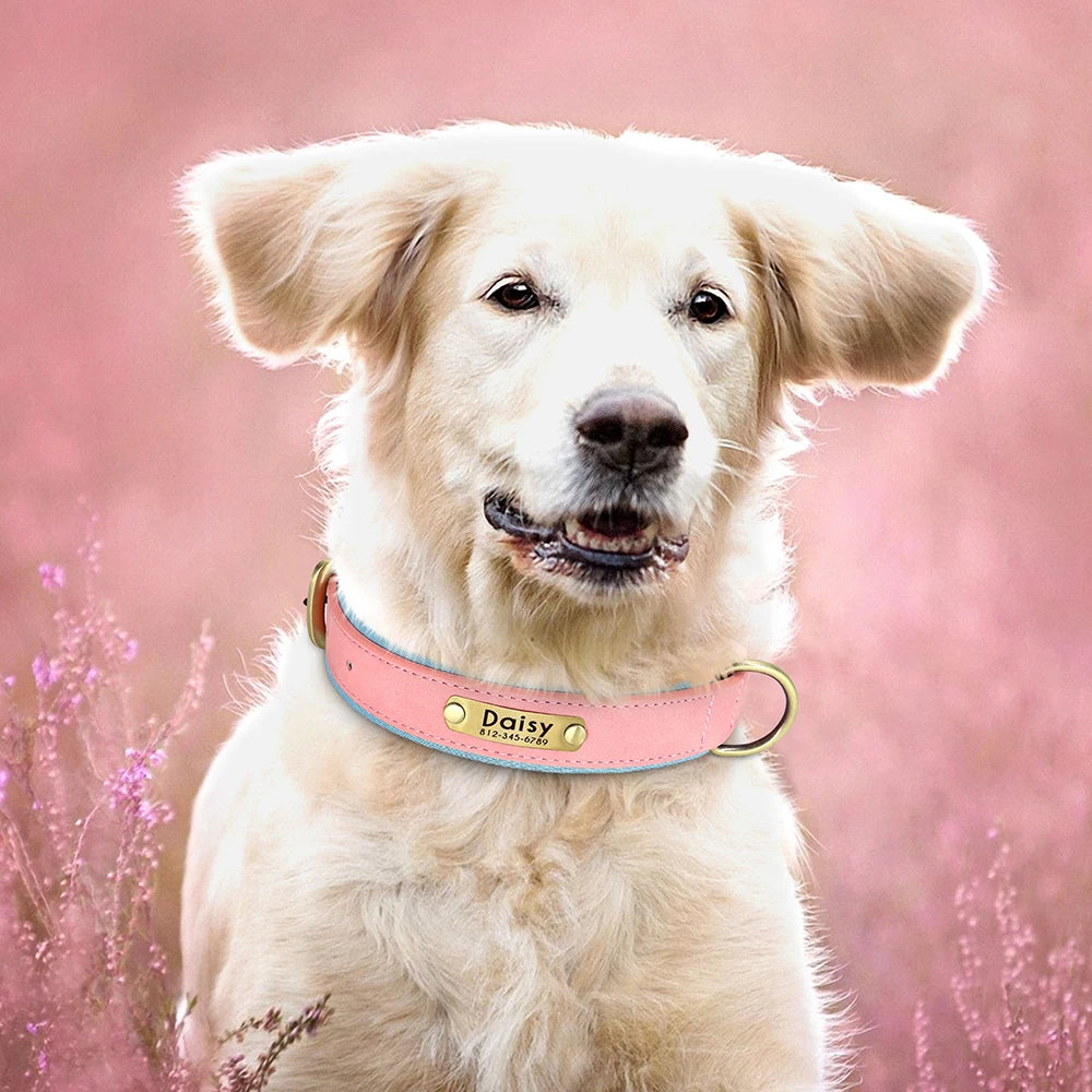 Personalised Dog Collars