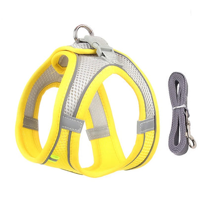 Dog lead and harness combo