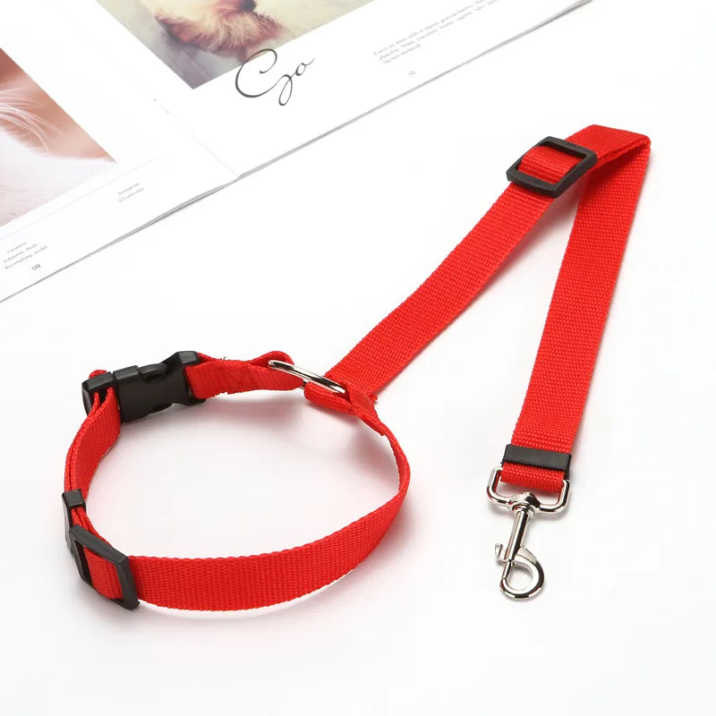 Dog Car Seat Belt and Leash