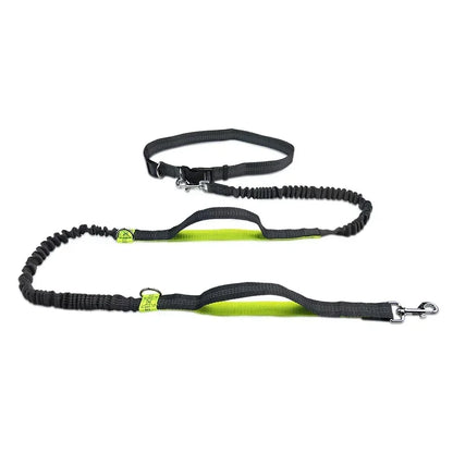 Extendable Hands Free Dog Leash