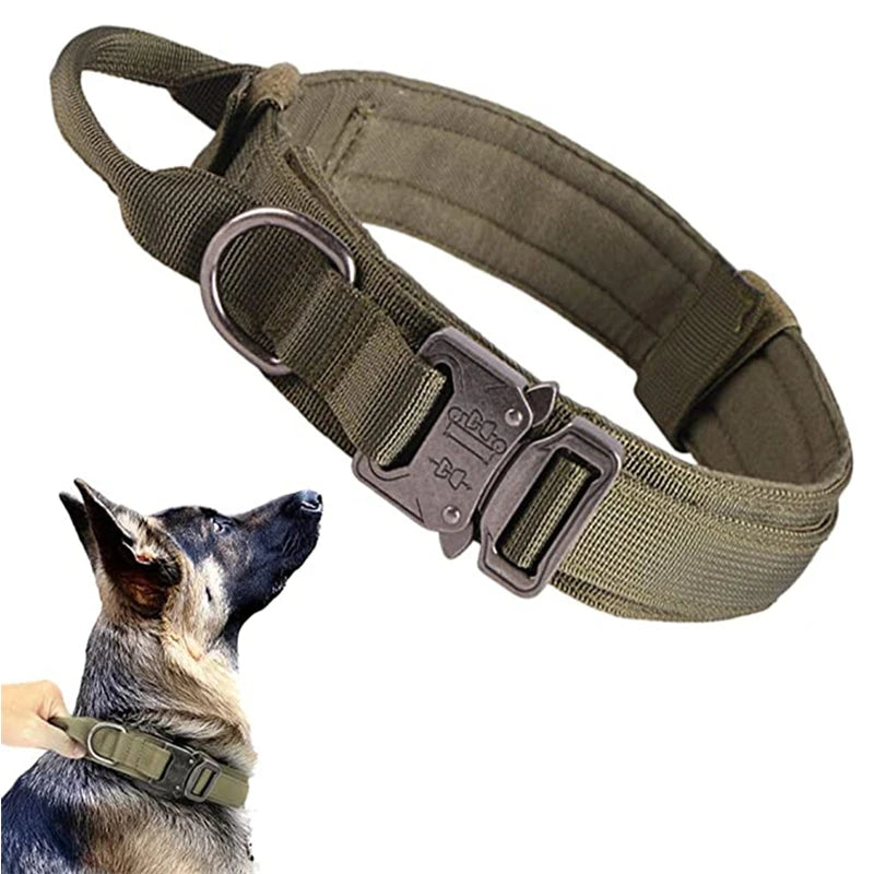 Dog Collars Australia Military-Grade