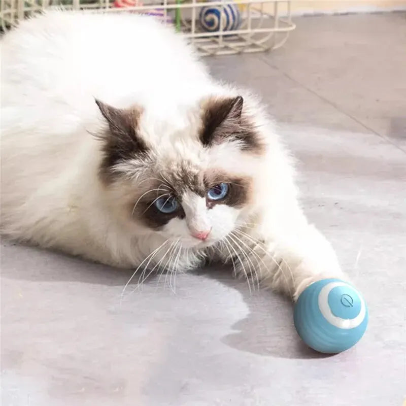 Interactive Cat Toys - Rolling Magic Ball