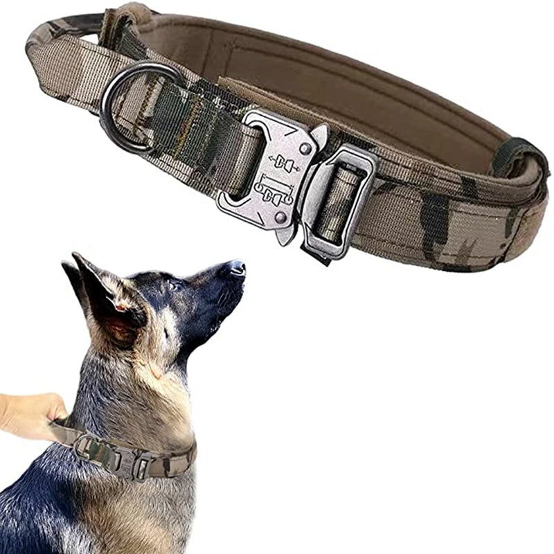 Dog Collars Australia Military-Grade