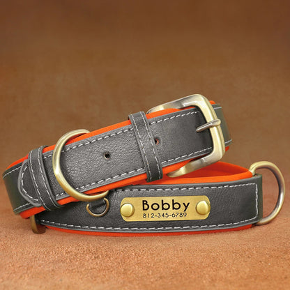 Personalised Dog Collars