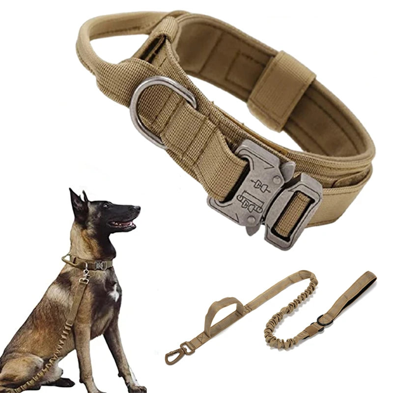 Dog Collars Australia Military-Grade