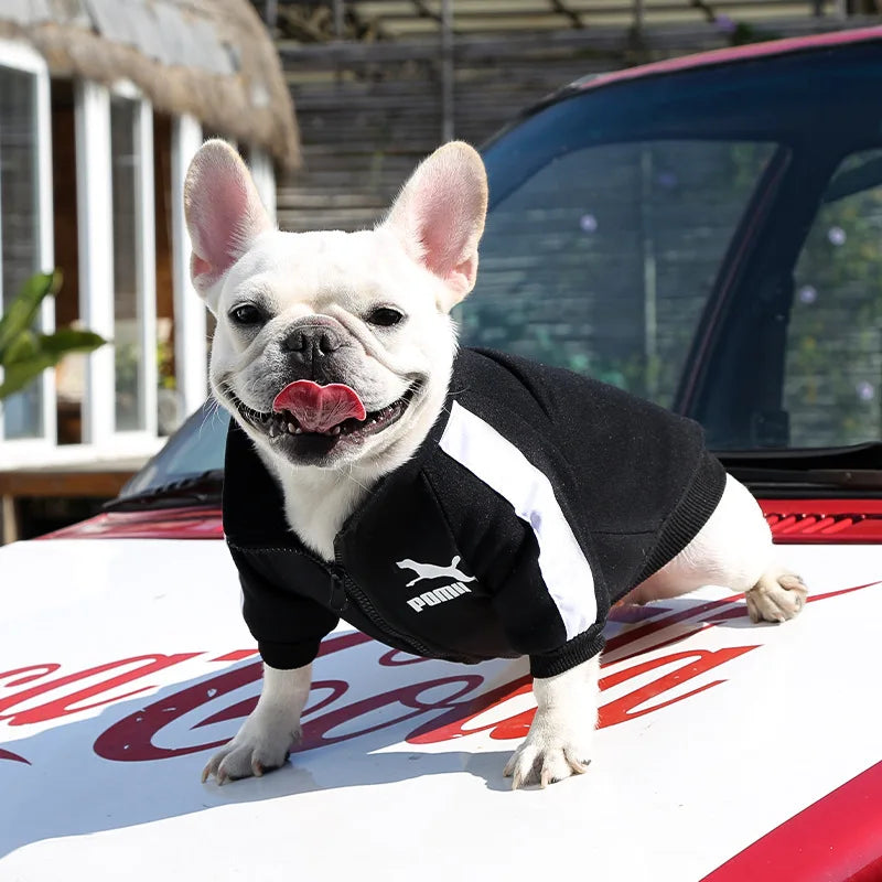 Winter Baseball Dog Jacket