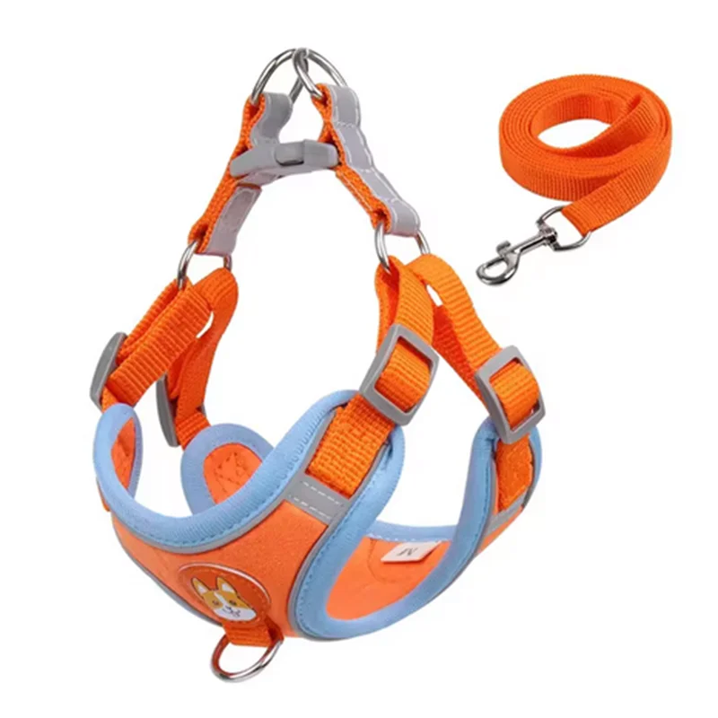 No Pull Dog Harness and Leash Australia