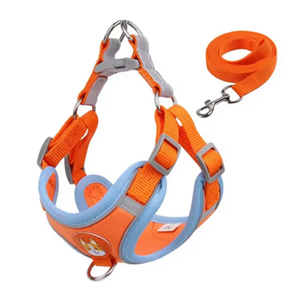 No Pull Dog Harness and Leash Australia