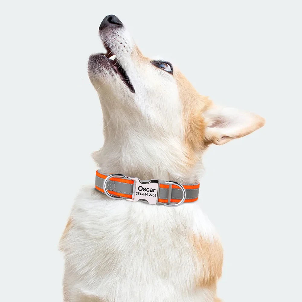 Personalized Reflective Dog Collars