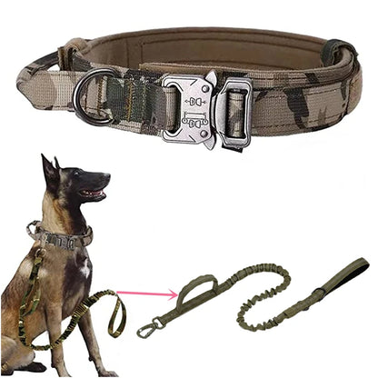 Dog Collars Australia Military-Grade