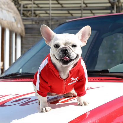 Winter Baseball Dog Jacket