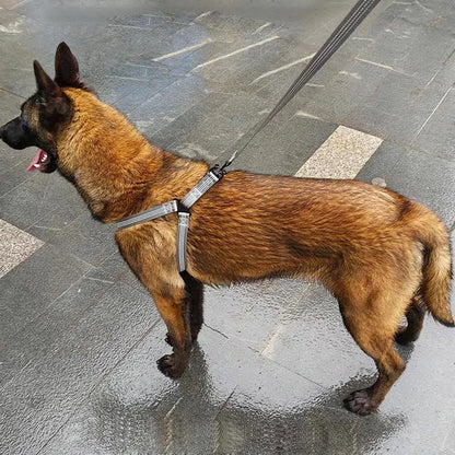 Dog Harness Australia