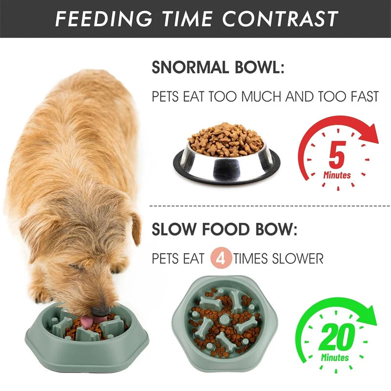 Dog Slow Feeding Bowl for Better Health