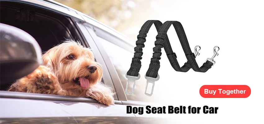 NO PULL Personalized Dog Harness