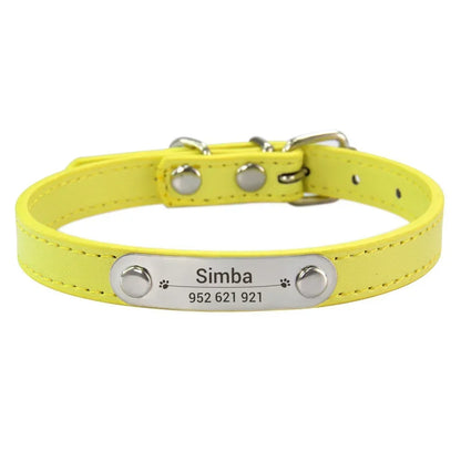 Cat and Dog Collar With Name