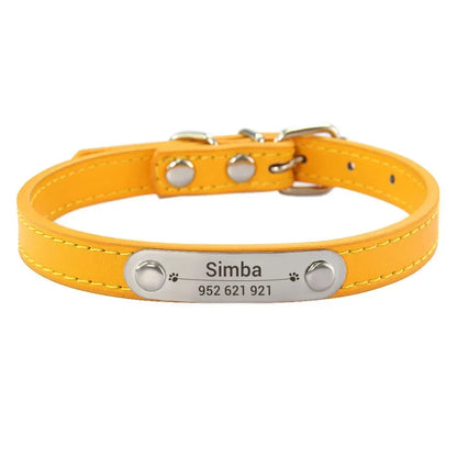 Cat and Dog Collar With Name