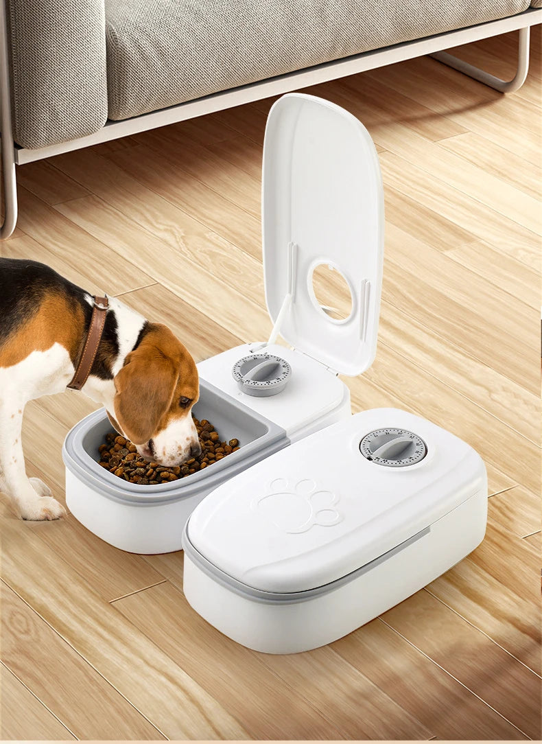 Pet Automatic Timing Feeder Bowl