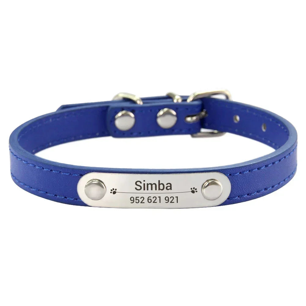 Cat and Dog Collar With Name